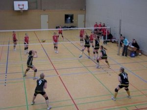 volleyball-20038