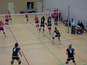 volleyball-20055