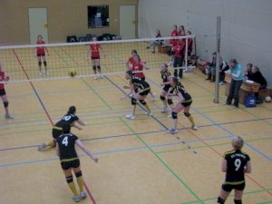 volleyball-20056