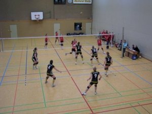 volleyball-20069