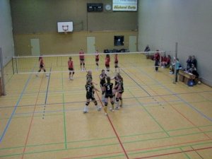 volleyball-20115