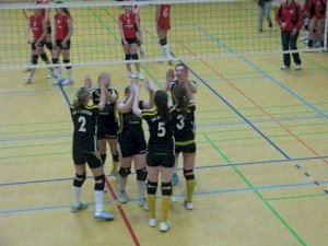 volleyball-20117