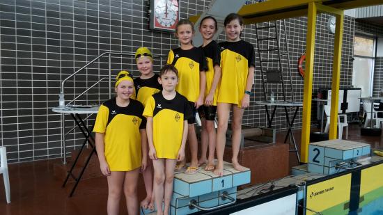 Kreismeisterschaft lange Strecke 2017