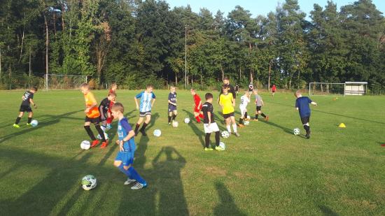 Start des Fördertrainings für die E- und D-Jugend