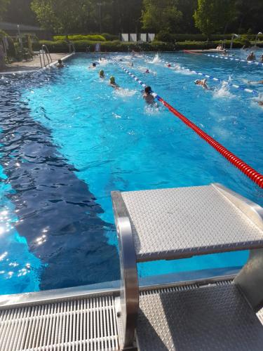 Start ins Schwimmtraining 2021